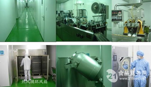 瘦身营养奶昔代餐粉OEM代加工服务 技术与营养的完美结合