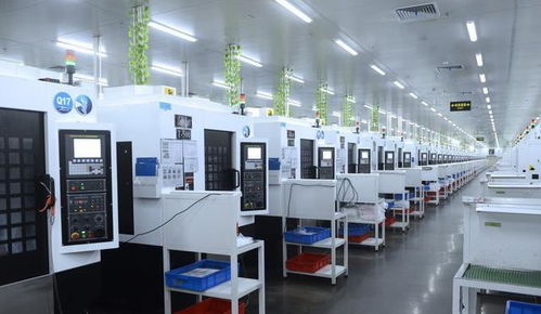 小王的成长之路 从技术开发到加工公司的核心力量