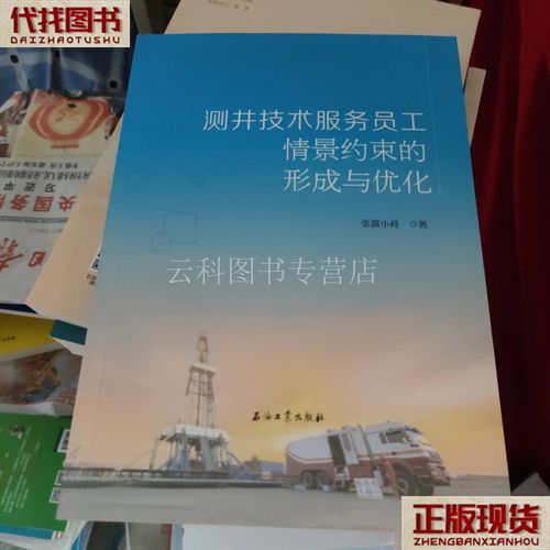 测井技术服务员工情景约束的形成与优化 张露小荷 中国电力出版社二手